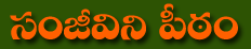 Sanjeevini Peetam Telugu
