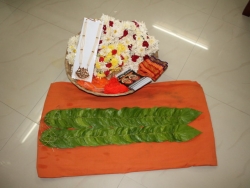 sanjeevinipeetam (2)