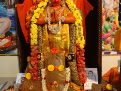 amavasya-pooja-8-7-2013-006