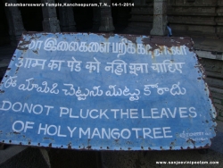 eakambareswara-temple-007