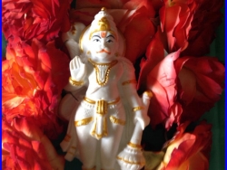 Sanjeevinipeetam (2)