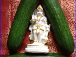 Sanjeevinipeetam (3)