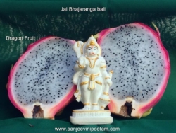 Sanjeevinipeetam (7)