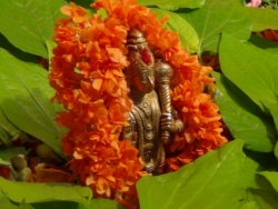 Sanjeevinipeetam (9)