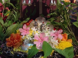 Sanjeevinipeetam aus pooja (7) (FILEminimizer)
