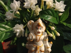 hanuma-sanjeevinipeetam-1