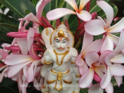 hanuma-sanjeevinipeetam-13