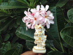 hanuma-sanjeevinipeetam-14