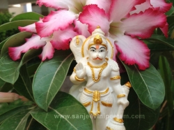 hanuma-sanjeevinipeetam-16