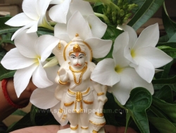 hanuma-sanjeevinipeetam-17