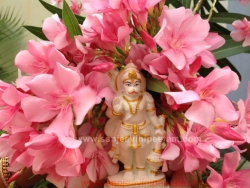 hanuma-sanjeevinipeetam-19