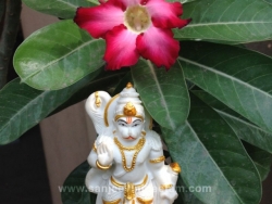 hanuma-sanjeevinipeetam-2