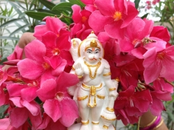 hanuma-sanjeevinipeetam-20