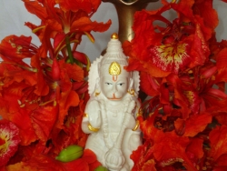 hanuma-sanjeevinipeetam-23