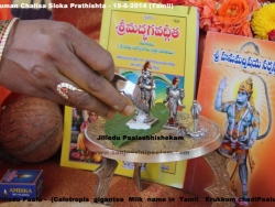 hanuman-chalisa-sloka-prathishta-14