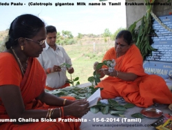 hanuman-chalisa-sloka-prathishta-9
