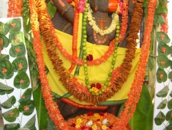 july-nakshathra-pooja-8-7-2012-023