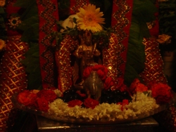 nakshathra-pooja-20-7-2011-5