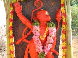 29th-year-hanumath-vratham-celebrations-022