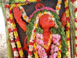 29th-year-hanumath-vratham-celebrations-024