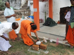 Sankranthi 2015  (16)