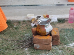Sankranthi 2015  (17)