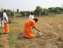 Sankranthi 2015  (2)