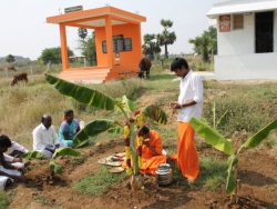 Sankranthi 2015  (3)