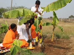 Sankranthi 2015  (5)