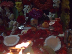 DSC05655 (FILEminimizer)