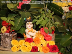 sri-krishna-jayanthi-celebrations-2013-003